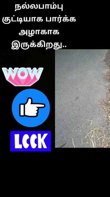 @yohit