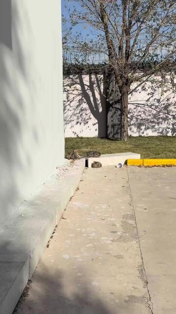 @🇲🇽MAYOREO QIHUO M&Eacute;XICO🇲🇽