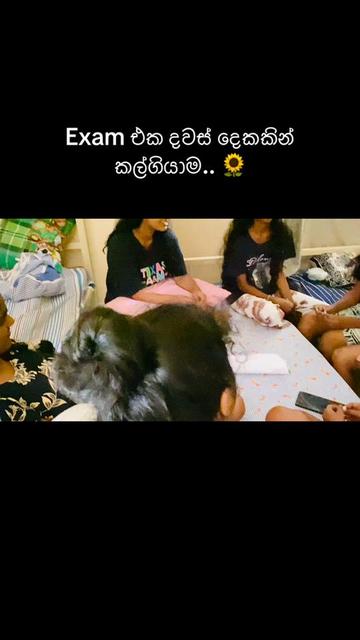 @Amandi Basnayake