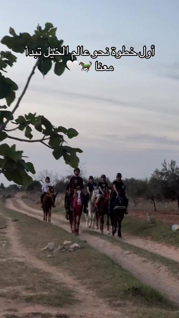 @Feres Ben Amor 🏇
