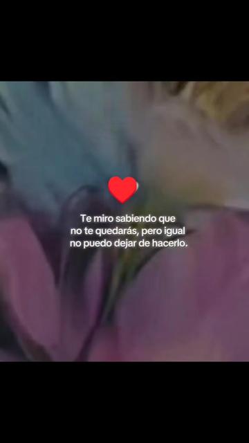 @WenArgüelloo