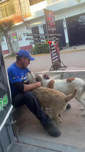 @Cabezotas 🐶