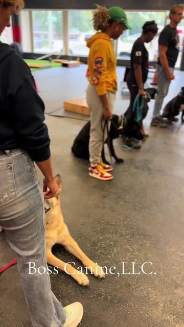 @Boss Canine