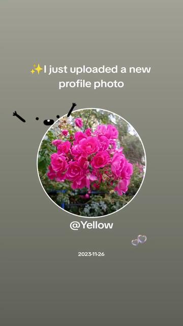 @Yellow