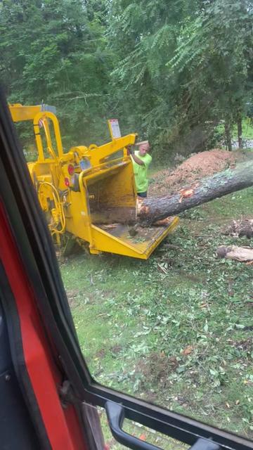 @Chads Tree Service