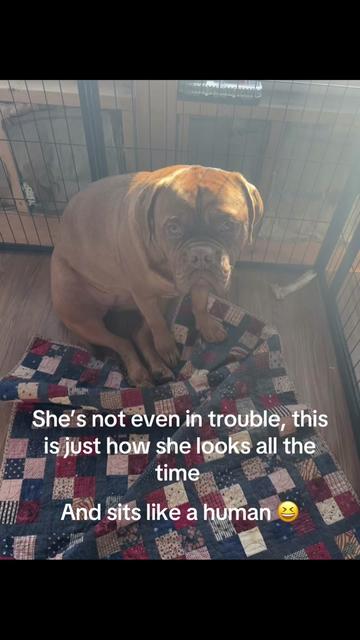 @MovingMamaMayfield