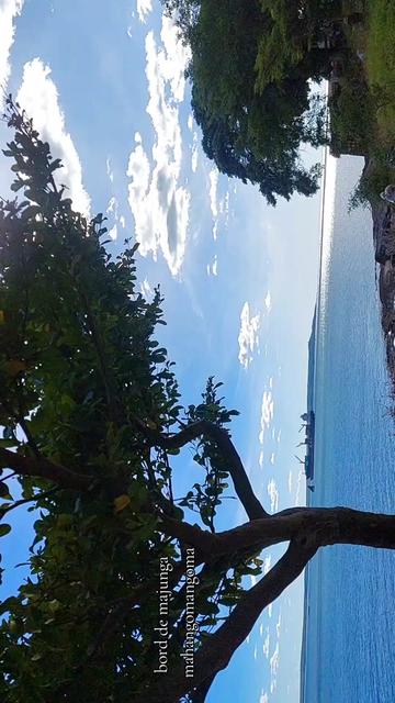 @Come to madagascar