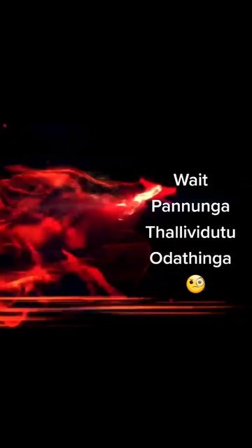 @திருநெல்வேலி முத்து❤