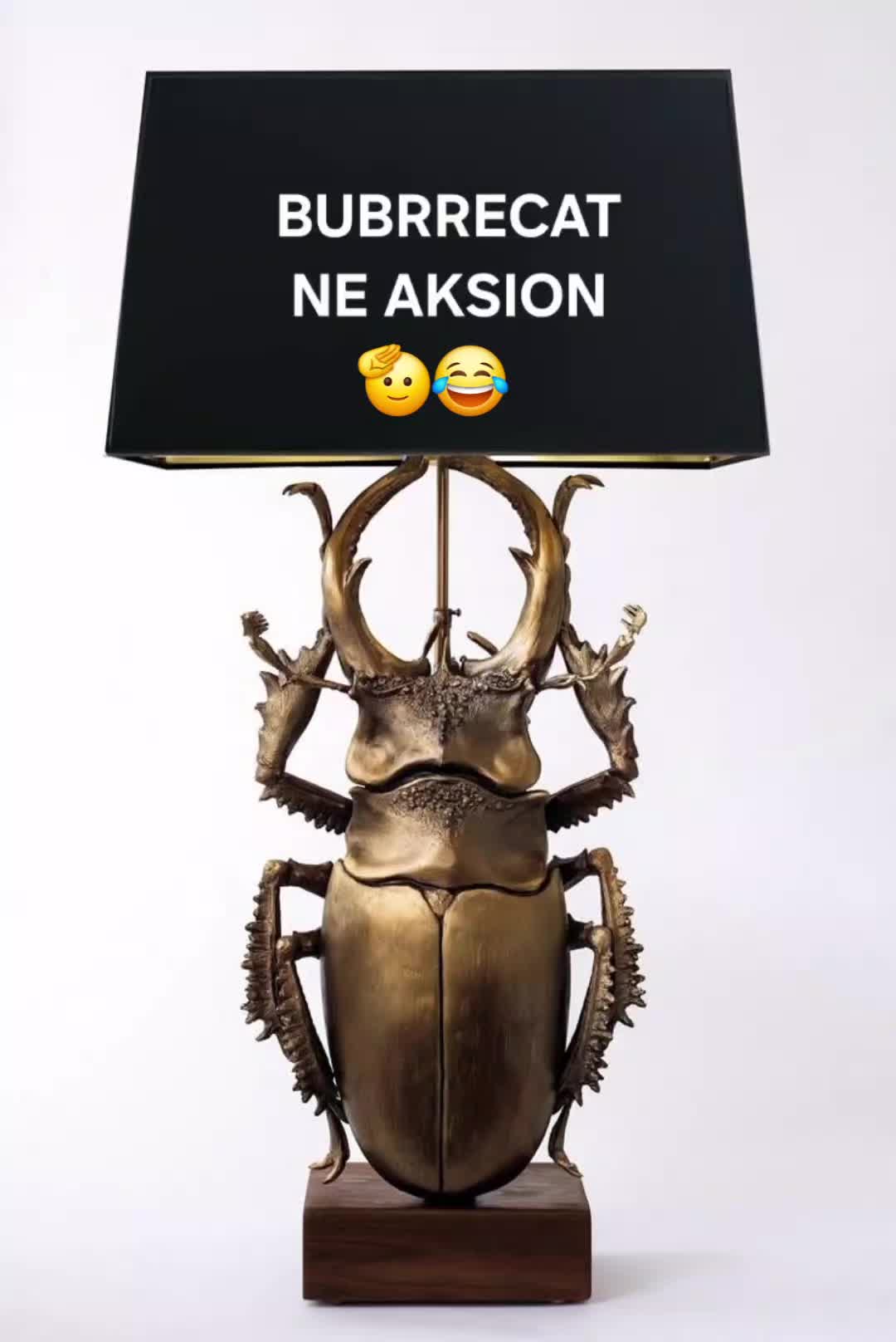 @🐵𝕄𝕒𝕛𝕞𝕦𝕟𝕖🐵