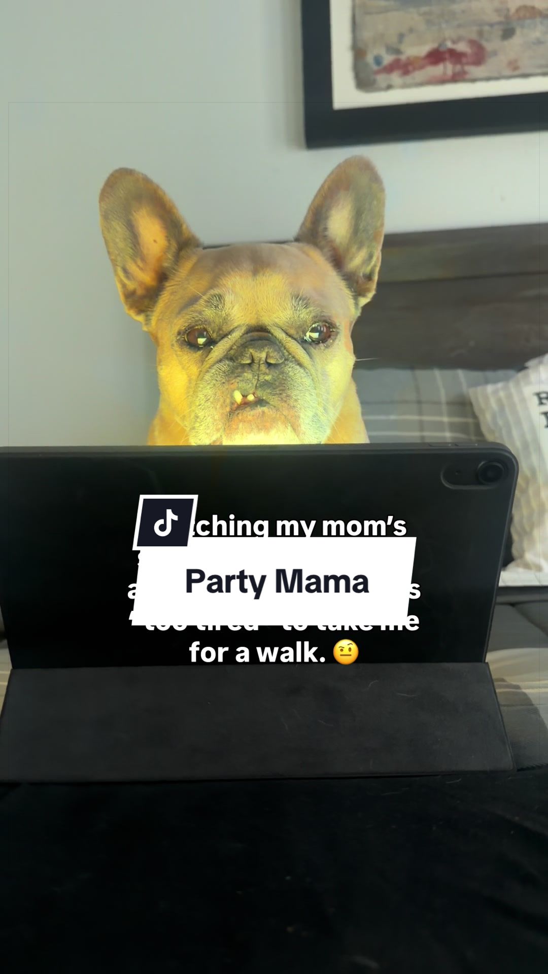@Somefrenchienamedapollo