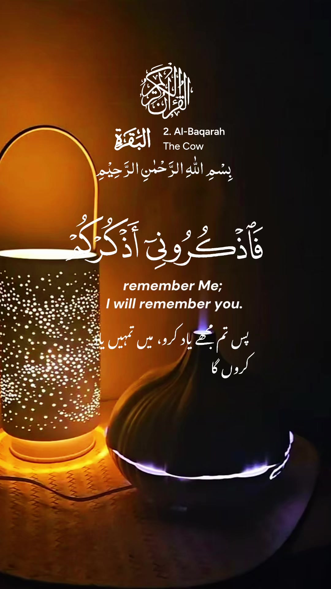 @❣️ Words of Allah ❣️