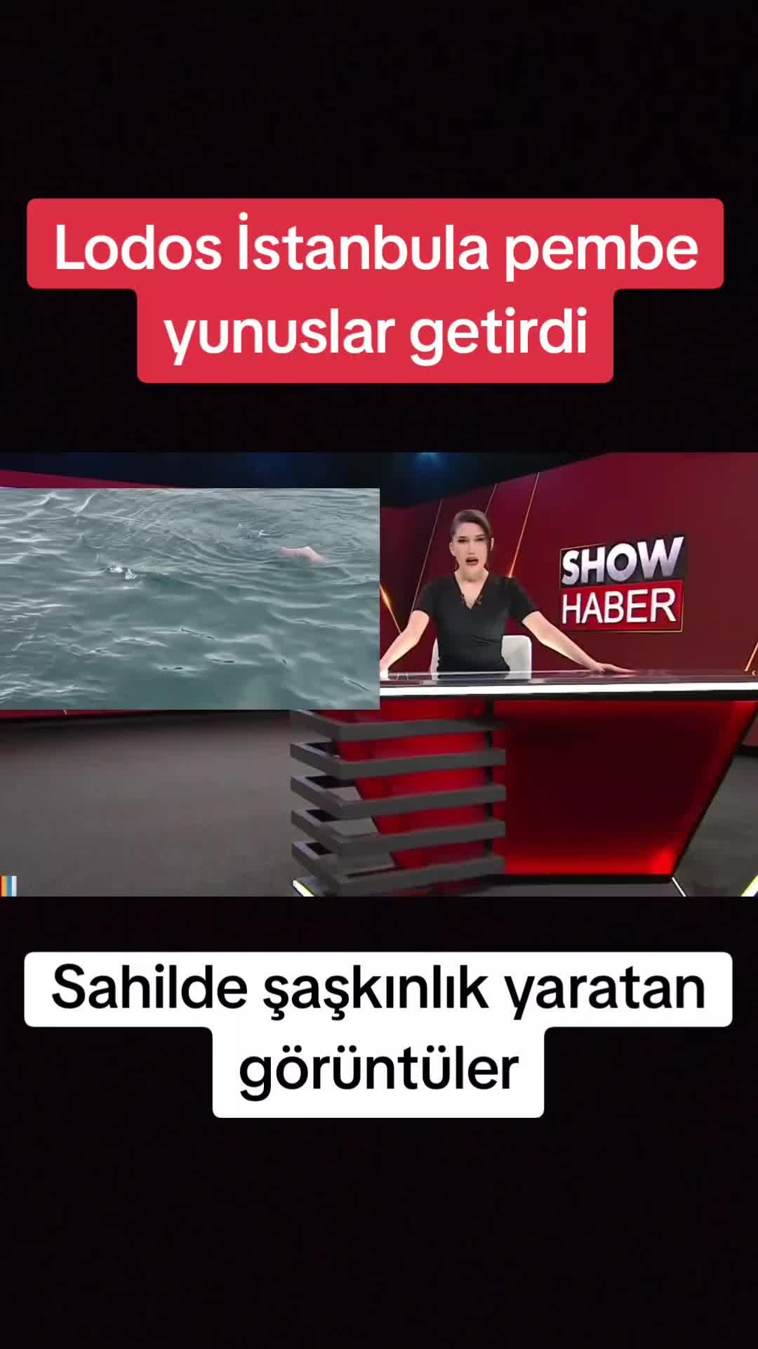 @🌐News_Blitz🌐