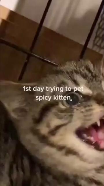 @Jennifer Emily