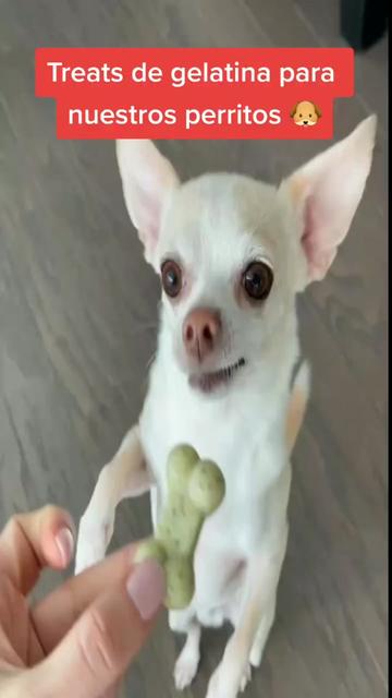 @delimascotas