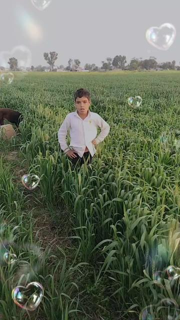 @rihan Malik