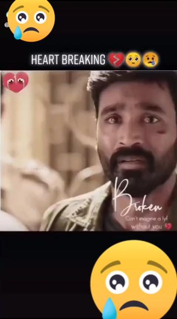 @cricket lover ๐๐