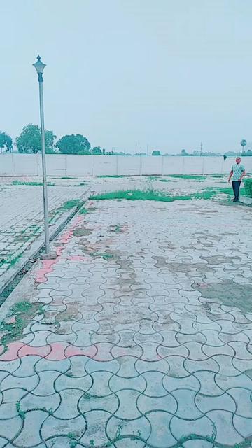 @ankit sunam6