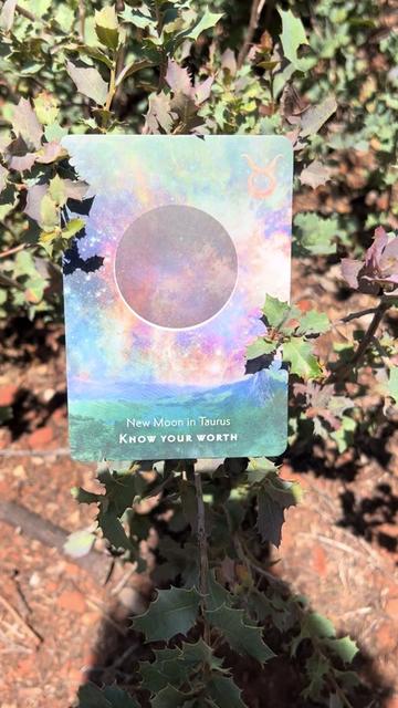 @💫 Star Keeper Oracle 🔮