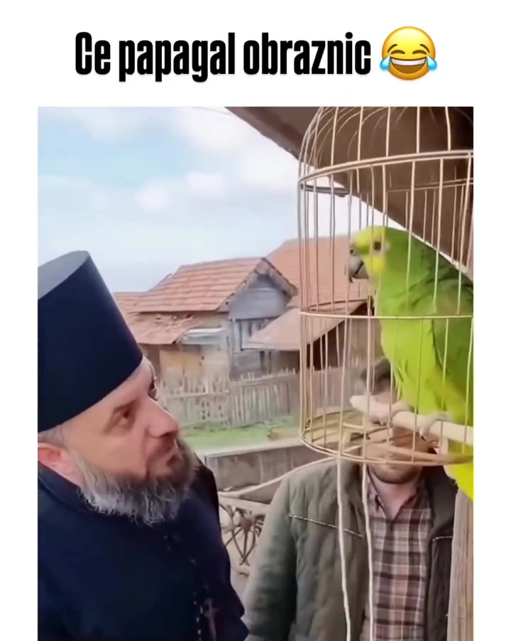 @SubaDaily