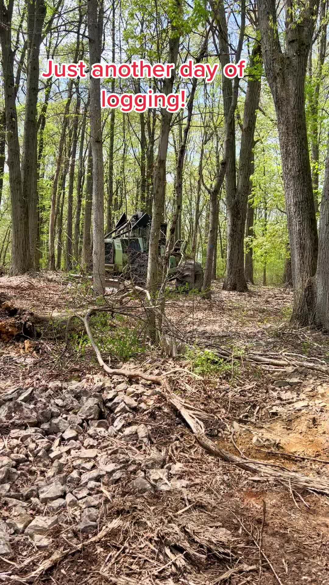 @jctlogging