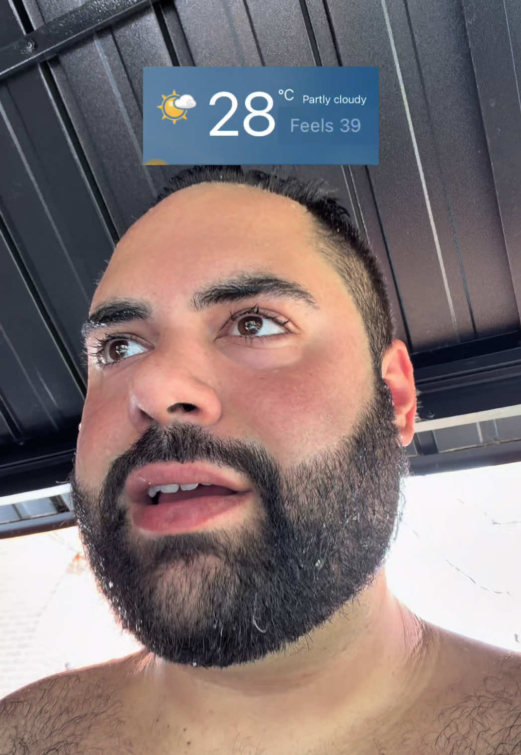 @mikechaar