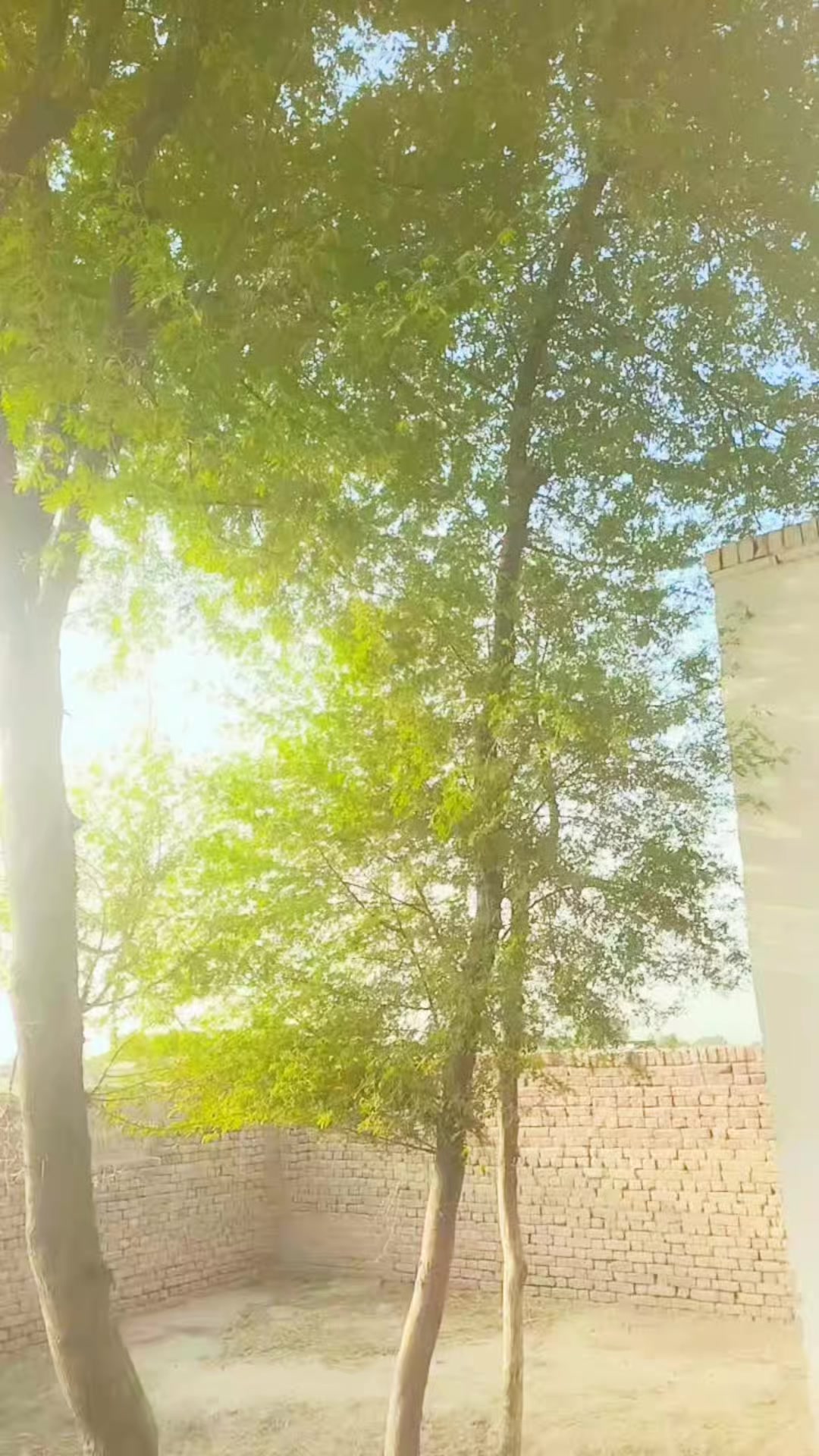@A.  Z