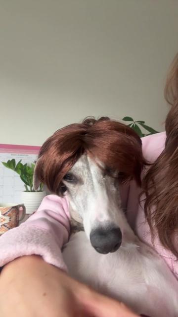 @Kayce Dog🤪🩷