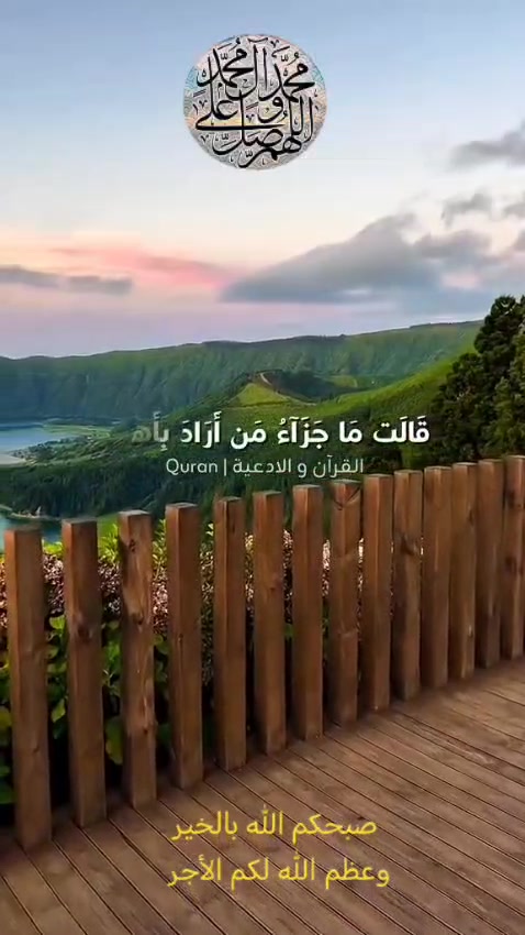 @thamer.alfadel