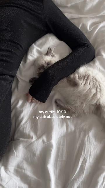 @Irina ☽︎ тгк: urvampirina