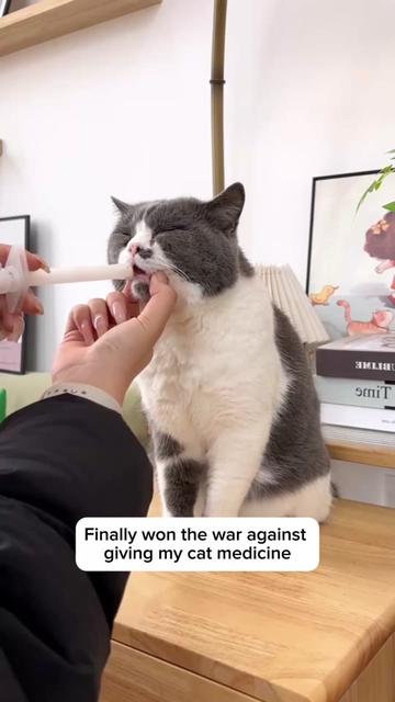 @Purrfect Oasis