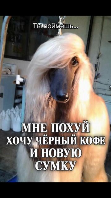 @elayna
