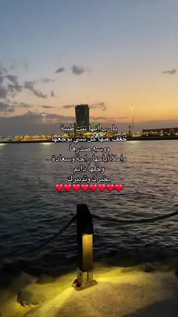 @انس الشامي