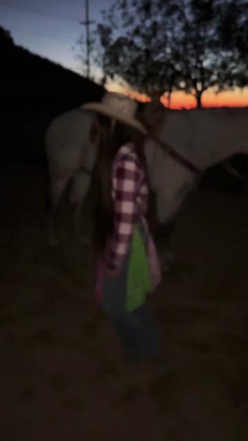 @𝐀 𝐋 𝐄 𝐗 𝐈 𝐒