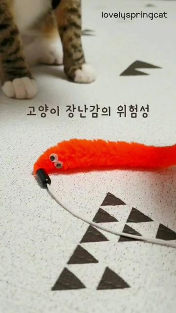 @뽀미와여울이
