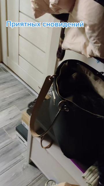 @Miki Мики
