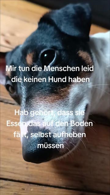 @jackbulli