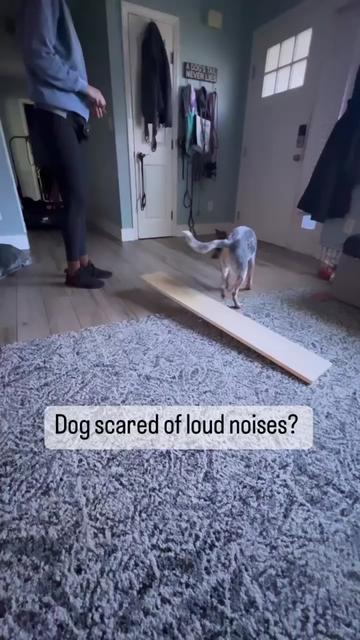 @thewoofpacknc