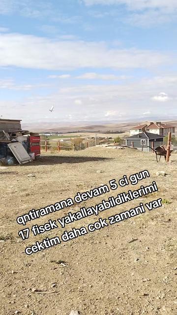 @🎲🎲oyunkusu.kirsehir40🎲🎲