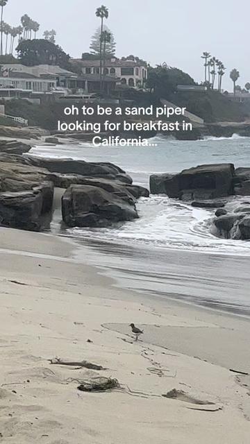 @beerbongsandminivans