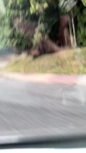 @๐๐ก๐๐๐ ๐ฎ๐๐ก๐ค๐ฉ๐666