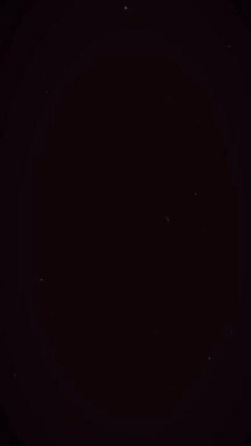 @🌹👑PAYTON👑🌹