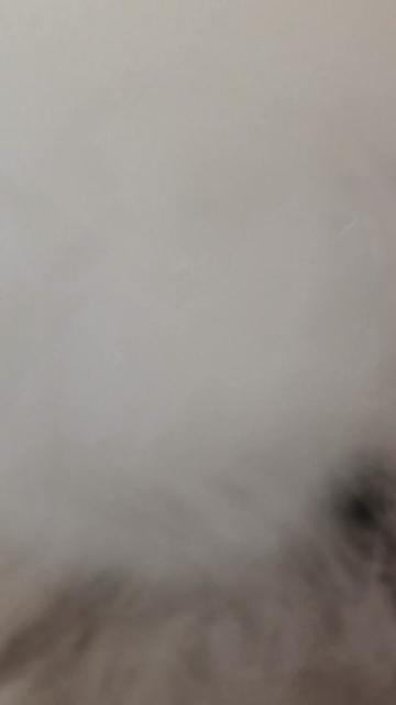 @ASOIAF Painter