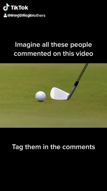 @thewynta