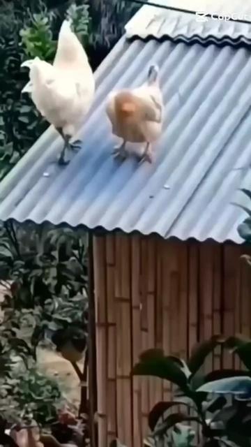 @БАХТИЯР🥰🥰🥰