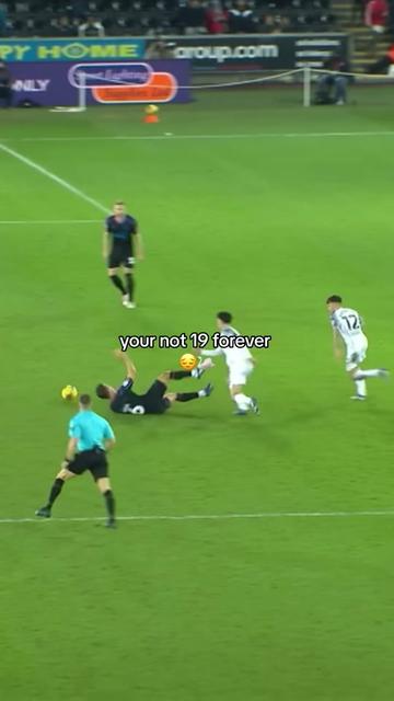 @Swansea City AFC 🦢