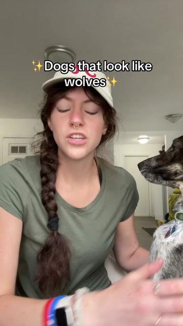 @momoandtea
