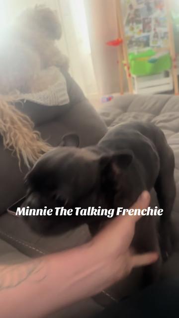 @minniecantalk