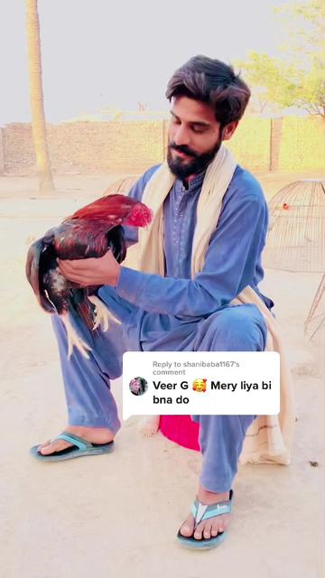 @Mahar Ajmal jutta