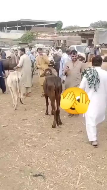 @Wazir Zadran
