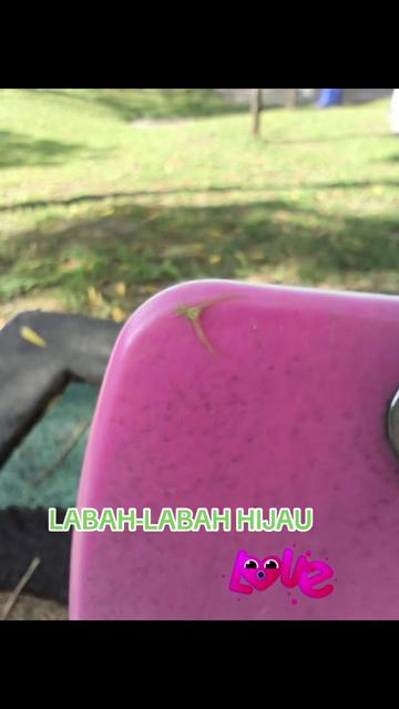 @DETOX DR ROSNI A.SYAFII